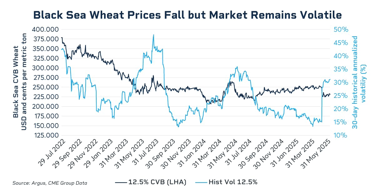 black sea wheat prices fall but market remains volatile